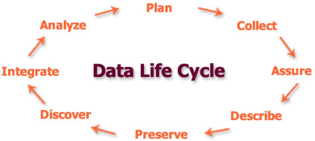 Image of the Data Lifecycle